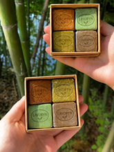 Load image into Gallery viewer, Herbal Root Revival Shampoo Bar